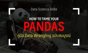 pandas python guide thai data science