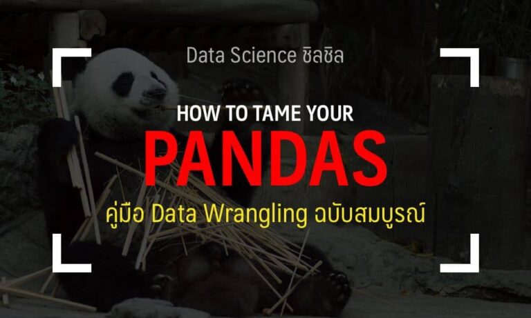 pandas python guide thai data science