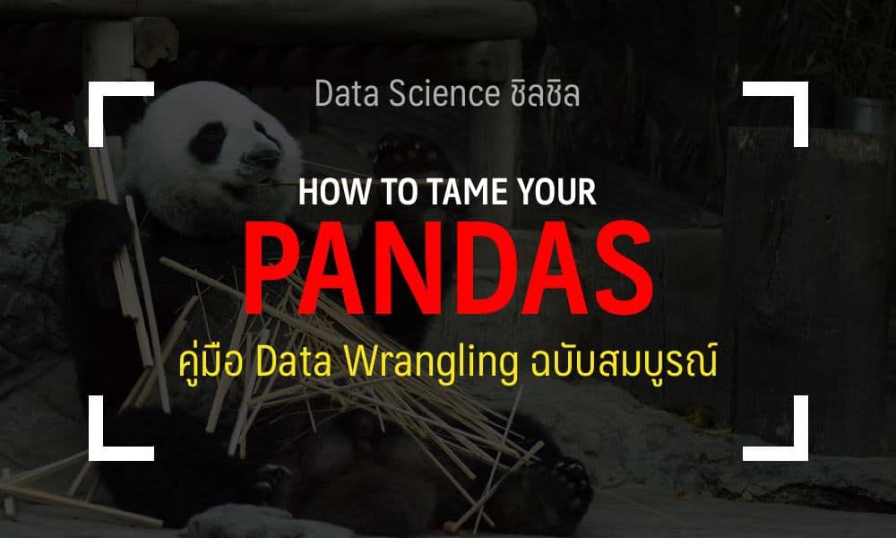 pandas python guide thai data science