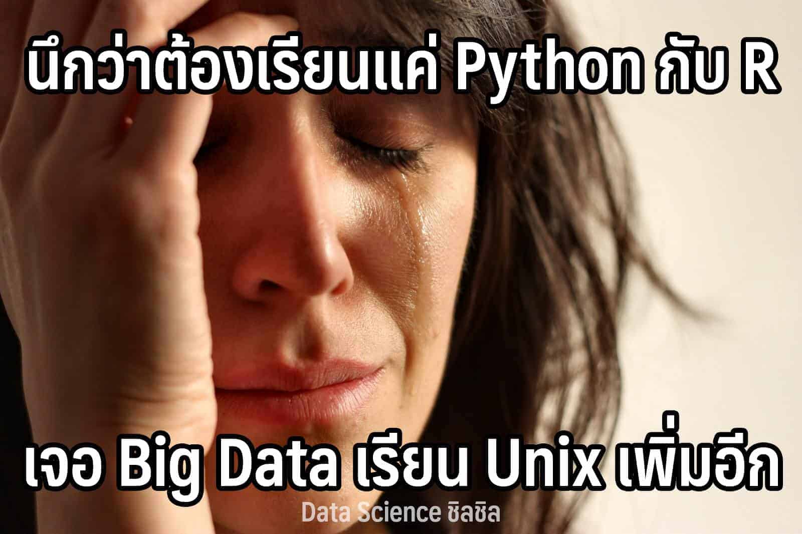 14124901_273649006353497_8860960516488507400_o