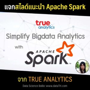 slide apache spark true analytics