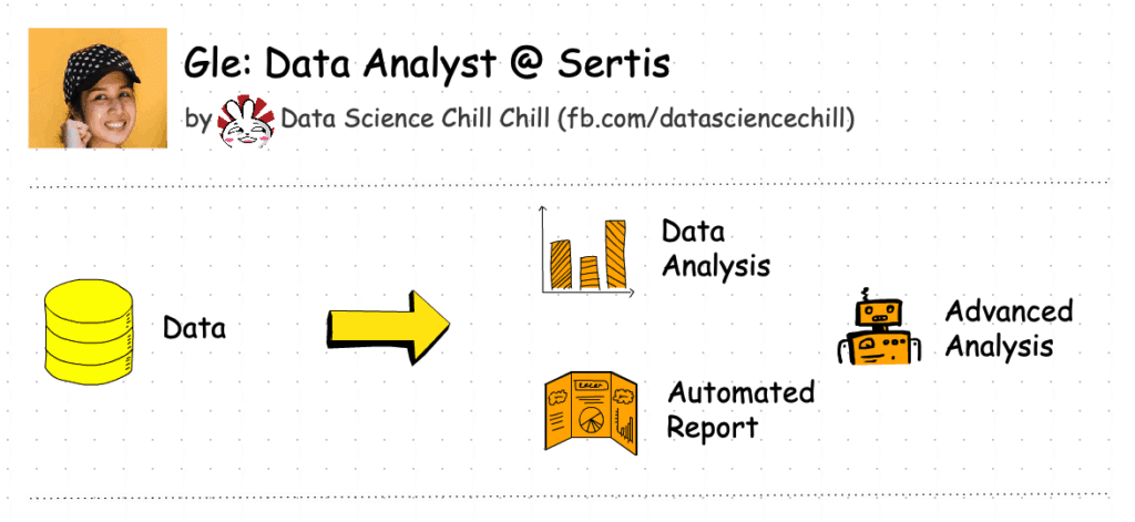 data analyst task