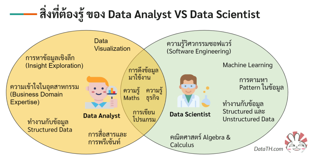 data scientist vs data analyst skills