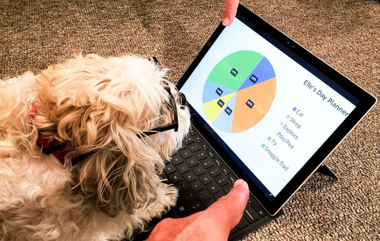 data analysis skills