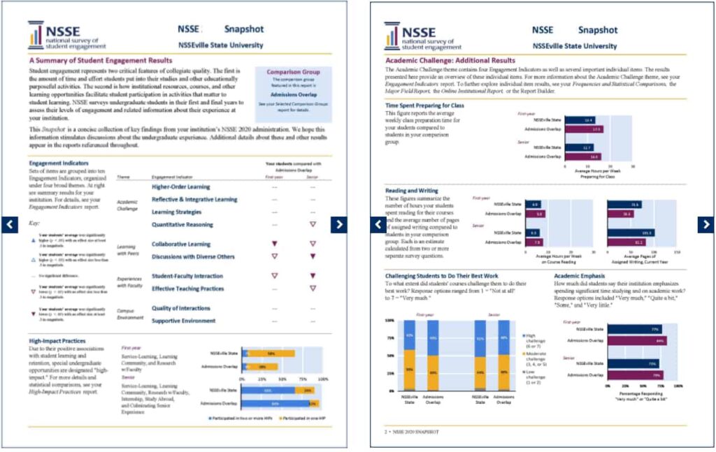data report sample nsse