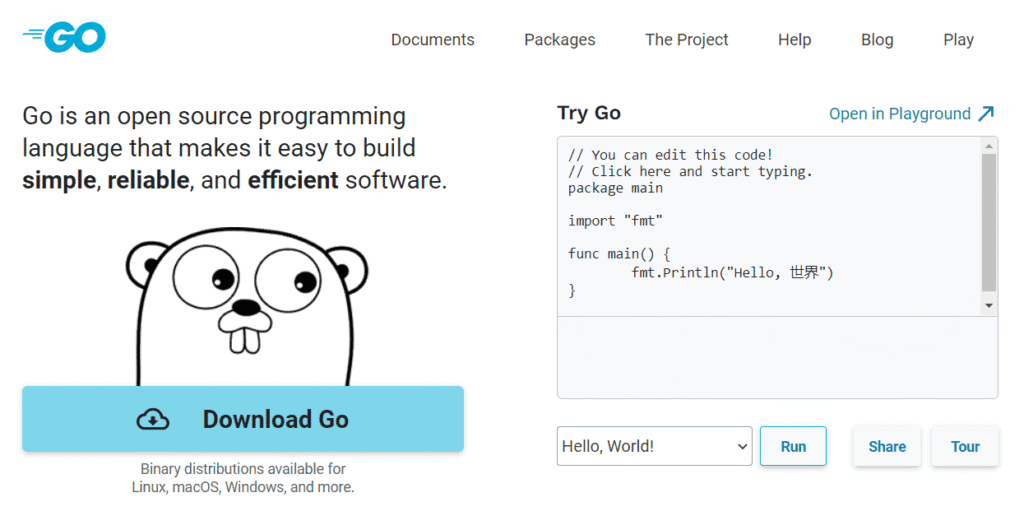 golang big data engineer