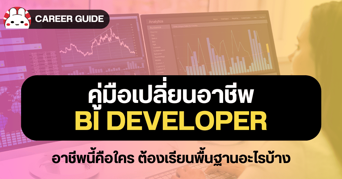 data career bi developer guide