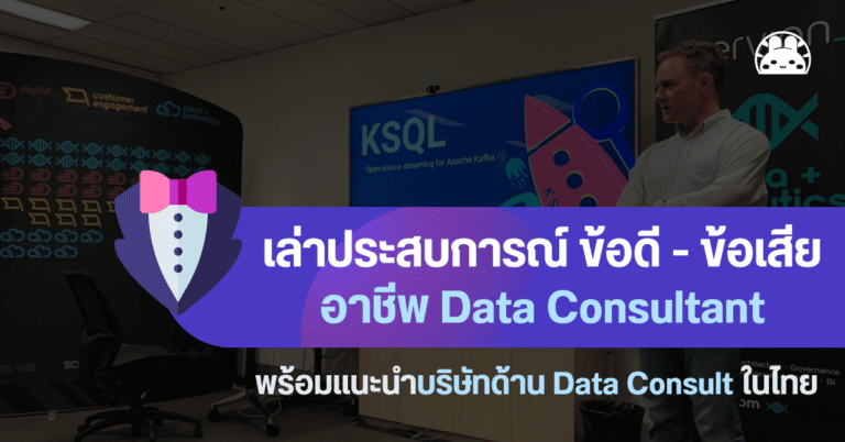 data consultant pros cons