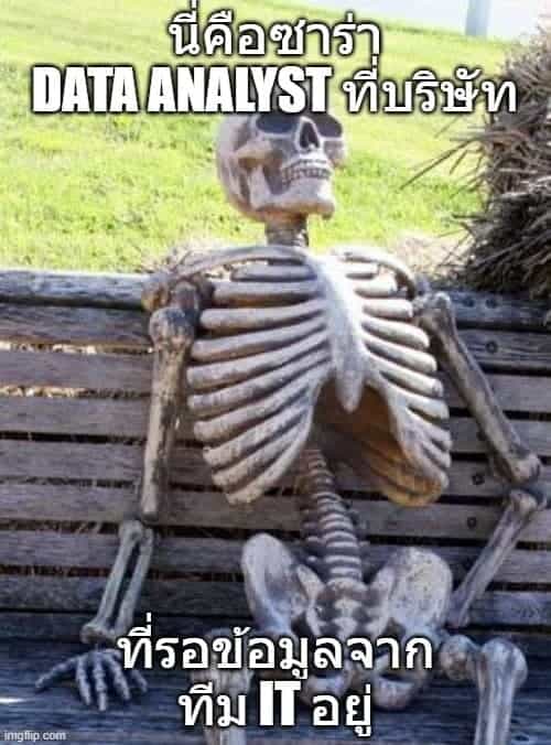 sarah data analyst