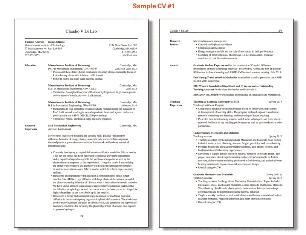 Sample-How-To-Write-CV-1