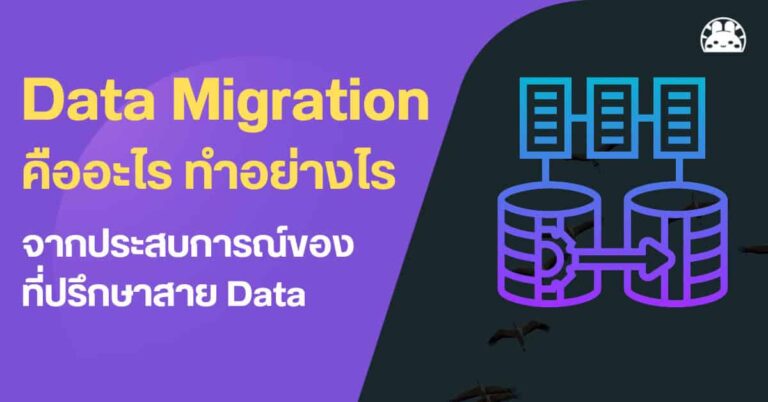 what is data migration steps