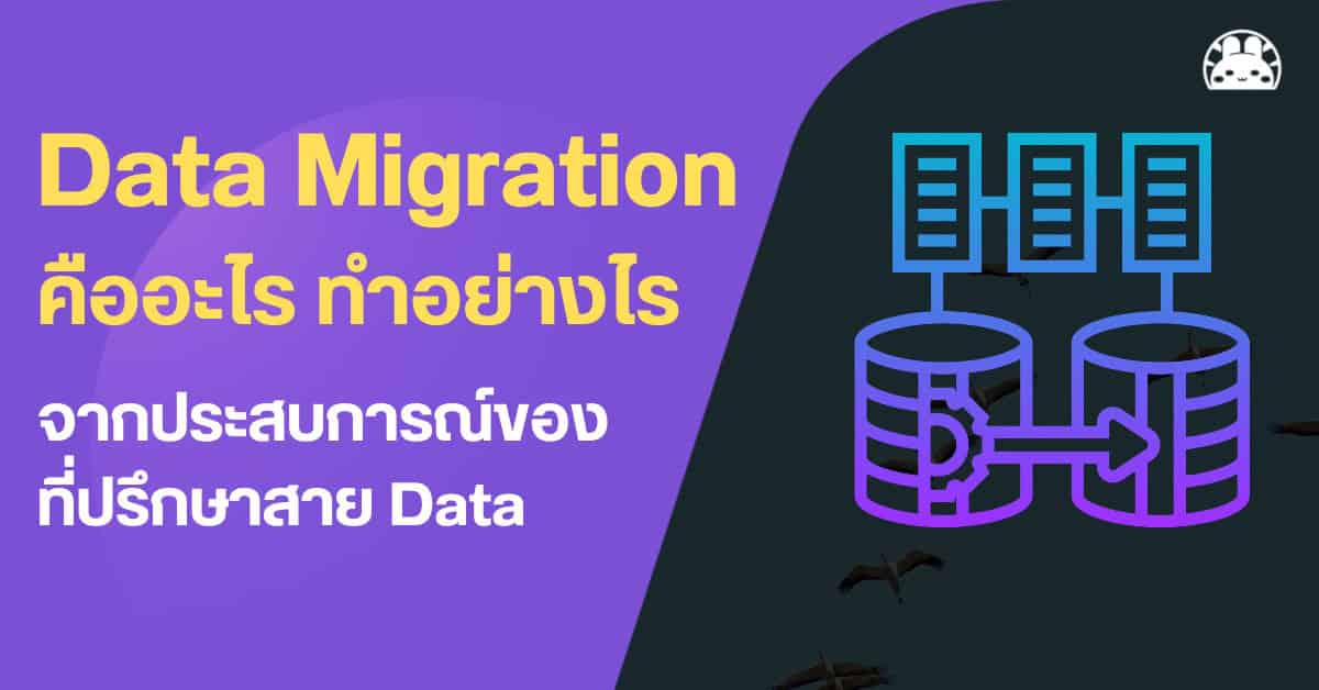 what is data migration steps