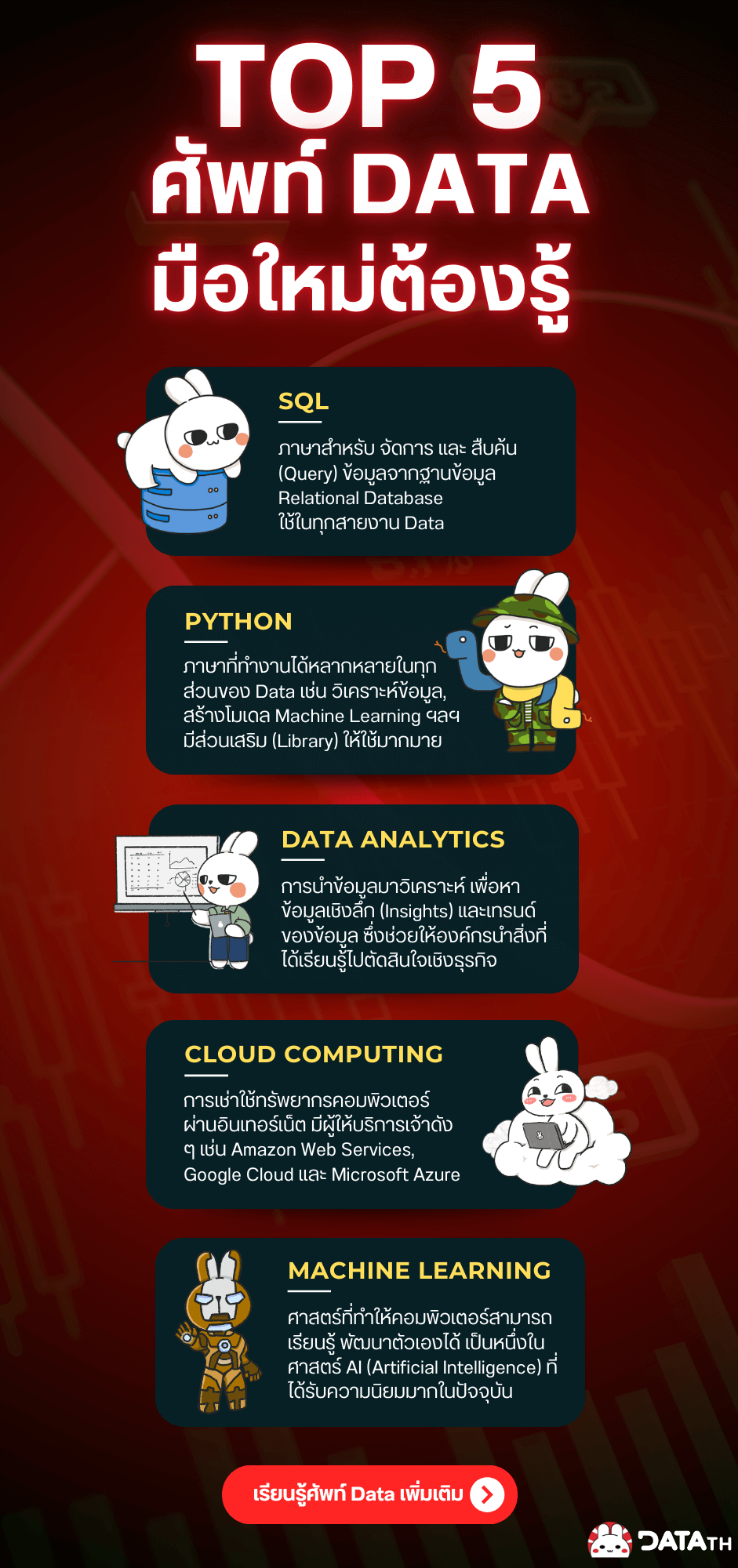 top5 data words
